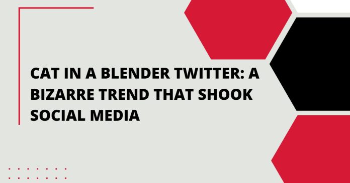 Cat in a Blender Twitter: A Bizarre Trend That Shook Social Media