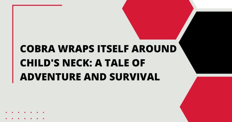 Cobra Wraps Itself Around Child Neck: A Tale of Adventure and Survival